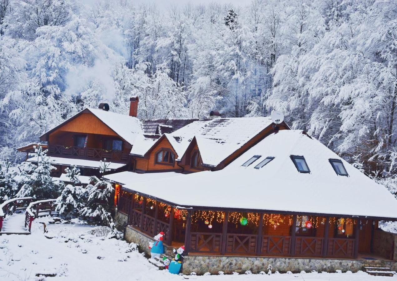 Zelena Sadyba Turichki Buitenkant foto