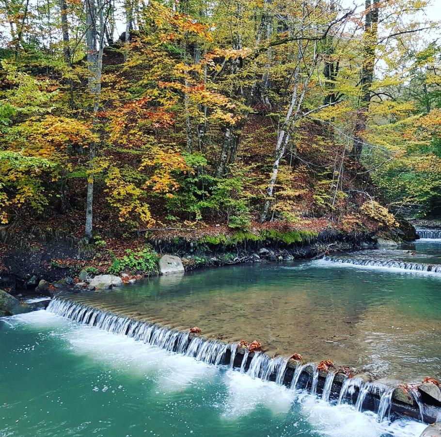 Zelena Sadyba Turichki Buitenkant foto