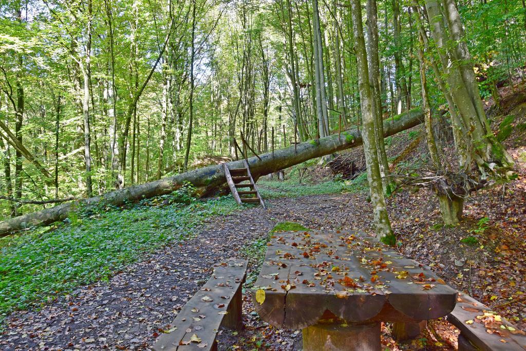 Zelena Sadyba Turichki Buitenkant foto