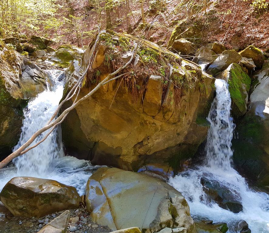 Zelena Sadyba Turichki Buitenkant foto